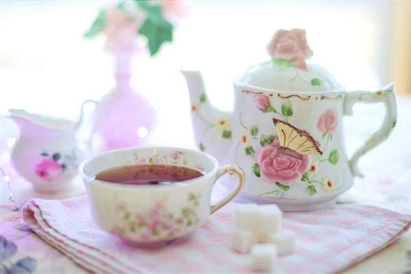 トレンドに逃げるな！庭を永遠に美しくする7つの定番植物