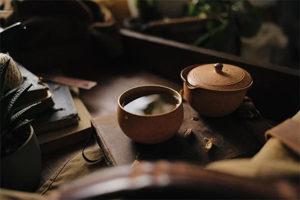 長持ちする観葉植物、どれくらい生きる？100年も生きるおすすめ8選