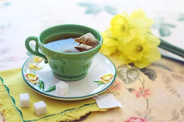 【園芸初心者必見】紫陽花6種類の見分け方と特徴をプロが解説！失敗しない育て方