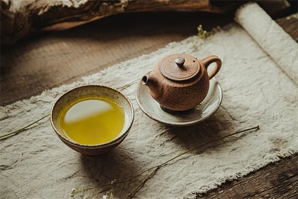 落ち葉堆肥とリーフモールドの違いと選び方：あなたの庭に合った方法を徹底比較